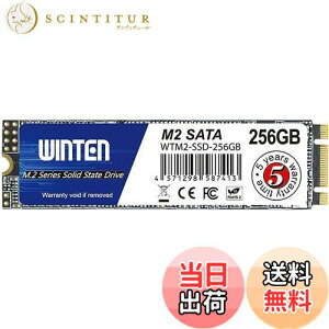 yzWINTEN SSD M.2 SATA 256GB 2280 3D NAND SATA3 6Gb/siőǎ 500MB/s ő发 500MB/sjG[@\ ȓd Ռɋ ^yzWTM2-SSD-256GB 6083