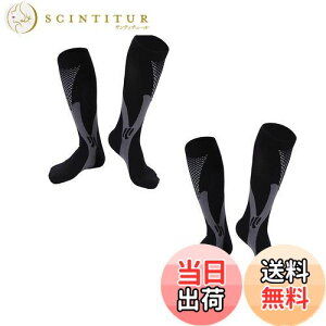 yzSweetimes RvbV\bNX X|[c\bNX p[Xgb` C ӂ͂T|[^[ 2Zbg 182(ubN2Zbg, L/XL)