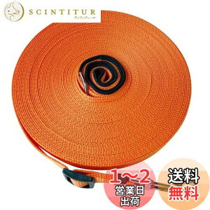 yzp[h O [v  ^E^E^p PEp U Ro ɕ iC v  WP[u (10m, IW)