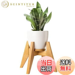 yzt[X^h Yangbaga X^h | Ƒ O  K[fjO ߉\ ő׏d30KG