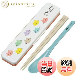 yzXP[^[(Skater)  Xv[ RrZbg 18cm RۉH ٓ lp VRNbVtŉȂȂ { ˂ Jt CCS3SAAG