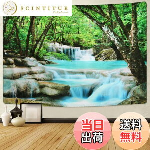 yzPknoclan X^yXg[ kǊ|^yXg[ X̃JXP[h^yXg[ Riz|X^[  X̑ 235x180cm唻Ǌ|z   ͗lւ CeA