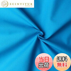 yz{Rtf(Nippon Chuko) GCeBXNGA n n 100% V[eBO ^[RCY u[n Ж108cm×50cmؔJbg KD4630-247-50CM