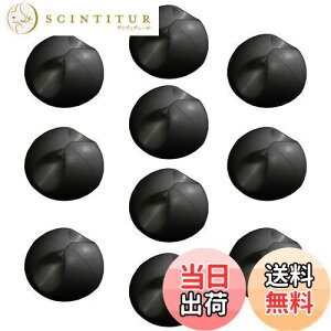 yzF-FACTORY R[hNbv P[uNbv ʃe[vt  ubN 10 FNT-CLP28BK-10P