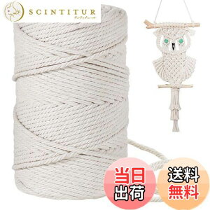 【送料無料】4mm 綿紐,100M 太いマクラメロープ 手芸 壁掛け おもちゃ 盆栽などに (ベージュ)