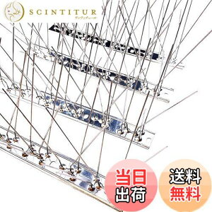 yzONESORA  悯 100%XeX o[hs ϋv y 3mz 悯 XpCN 悯 R LhS JX悯 ̃tQ΍  x_ J[|[g  Ԍ A