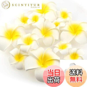 yzYesallwas wA Nbv s vA  7cm 20Zbg Ԃ̂  wA Nbv s vA   DIY  p[eB[p t ʐ^Be