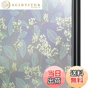 yzQualsen KXډBtB  ߂V[g ډBV[gKXtB XehOX V[ œ\Ă͂ O猩Ȃ UVJbg Uh~(60 x 200 cm, 