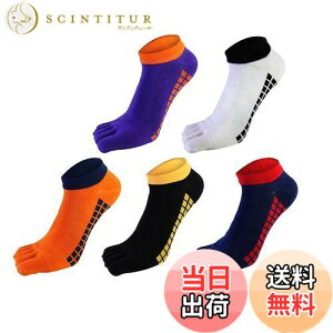 yz[fX] 5{w\bNX C 24-28cm Y ܖ{w\bNX rWlX\bNX VR z RۖhL X|[c\bNX 5Zbg