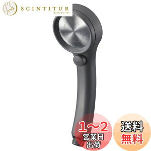 【送料無料】SANEI(サンエイ) シャワーヘッド レイニー 手元ストップ 節水率50% 極細水流 勢いアップ ステンレスシャワー板 グレー 日本製 PS313-80XA-HA20