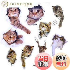 yzPazi EH[XebJ[ L   XebJ[ ˂ V[ 킢 3D ȒP DIY  \Ă͂  ǎ gC  Lb` CeA