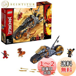 yzS(LEGO) jWS[ R[̃fUgoCN 70672 ubN  j̎q