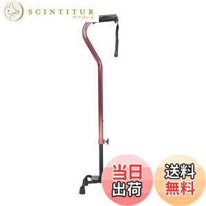 yzSUKONG  4_  p y  Lk ߉\ XebL s⏕  nr hV̓ (bh)