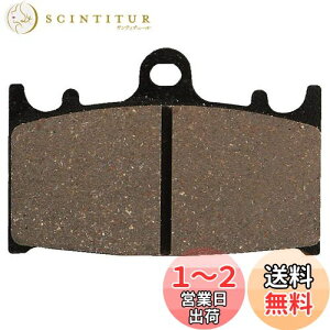 【送料無料】デイトナ(Daytona) バイク用 ブレーキパッド ハイパーパッド(セミメタルパッド) バンディット1250(07-16) GSR400(06-10) ZRX1200 DAEG(09-16) ゼファー1100(92-06) GPZ900R(90-98) など フロント用 13827