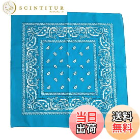 【送料無料】[Fosys] バンダナ 綿100% コットン カシューナッツ柄 55x55cm 正方形 大判 スカーフ ネッカチーフ 三角巾 メンズ レディース 色：4.スカイブルー、サイズ：55cmx5cm