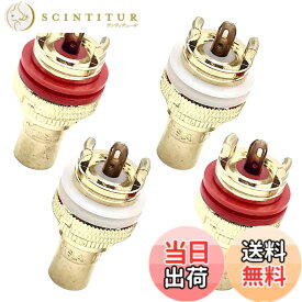 【送料無料】TIGRE BLANC RCA ジャック 端子 メス オーディオ スピーカー アンプ ターミナル コネクタ ノイズ 防止 純銅 4個 セット 色：金メッキ