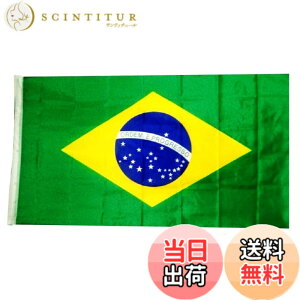 �y���������z(APOSITV)���� �u���W�� ���� �傫�� �唻 �� 150 90 ���� �Ǌ|�� ���� ����t�� �t���b�O �� �F�F�O���[��