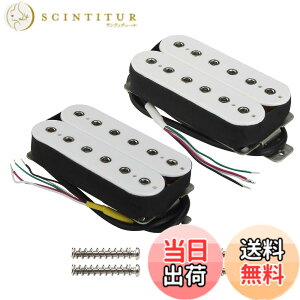 �y���������zFLEOR Alnico 5 �G���L�M�^�[ �_�u���R�C�� �n���o�b�J�[ �s�b�N�A�b�v �Œ�|�[���s�[�X �F�F���A�T�C�Y�F�l�b�N + (8~9K) �u���b�W �s�b�N�A�b�v