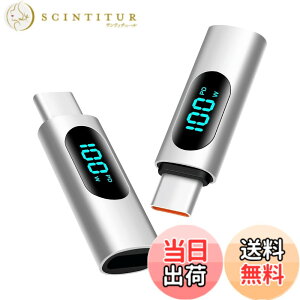 �y���������zleizhan 100W���XLightning - USB-C�I�X�f�B�X�v���C�A�_�v�^�i2�p�b�N�j�AUSB C���C�g�j���O�A�_�v�^�A�f�[�^�]���A�_�v�^�A�}���[�d �F�F�V���o�[�A�T�C�Y�F���C�g�j���O ��c�^ ��