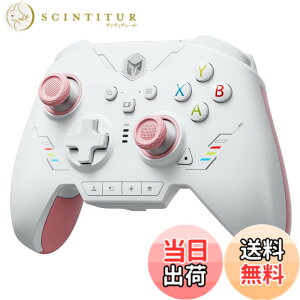 �y���������zBIGBIG WON Rainbow 2 SE ���C�����X �R���g���[���[ ���[�V���� �R���g���[���A�z�[�����ʃg���K�[�A12 �r�b�g ADC�A�W���C�X�e�B�b�N 3 �Z�b�g�A4�����\���L�[�A8�����\���L PC APP�A�R