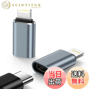 �y���������zType C���烉�C�g�j���O�ϊ��p�A�_�v�^ 2�Z�b�g �^�C�vC����IOS�ϊ�480Mbps�f�[�^�]��/10w�����[�d USB-C iPhone �ϊ��R�l�N�^ �A���~�����O�� �y�ʏ��^ �F�F�O���[
