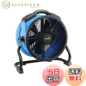 �y���������zXPOWER���^���[�^�[���@�\�v���t�F�b�V���i����C�z�t�@���A�t���A�u�����[�A�����t�@�� �F�FBlue�A�T�C�Y�FFC-300