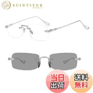 �y���������z[REONAS] �u���[���C�g�J�b�g ���K�l + ���� �ϐF �������X���K�l �p�\�R���p ���K�l �r�W�l�X PC���[�N����O�o���̓T���O���X�֕ω�����2Way�d�l �y�� UV 90���ȏ� �������X silver 