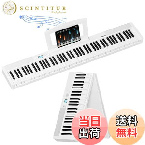 �y���������zTERENCE �d�q�s�A�m 88���� �܂肽���ݎ� �^�b�`���X�|���X���� V30 �F�F�z���C�g�A�T�C�Y�F88����