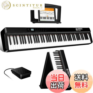 �y���������zTERENCE �d�q�s�A�m 88�L�[�v���O���b�V�u�E�F�C�g���� X88E �T�C�Y�F�X�^���h�Ȃ�