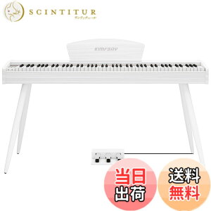 �y���������zKIMFBAY �d�q�s�A�m 88���� �n���}�[�A�N�V�������� �ؐ��X�^�C�� �d�q�s�A�m �t�����X��DREAM���� 3�{�y�_�� MIDI�[�q�Ή� ���S�� �}�X�^�[ ���K�p ���{������� �F�F�z���C�g