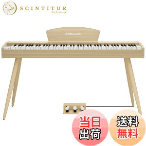 �y���������zKIMFBAY �d�q�s�A�m 88���� �n���}�[�A�N�V�������� �ؐ��X�^�C�� �d�q�s�A�m �t�����X��DREAM���� 3�{�y�_�� MIDI�[�q�Ή� ���S�� �}�X�^�[ ���K�p ���{������� �F�F�x�[�W��