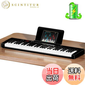 �y���������zTERENCE �d�q�s�A�m 61���^�b�`���X�|���X���� 2025�N���� �F�F�u���b�N