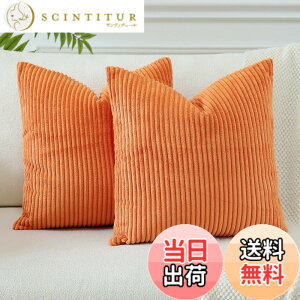 �y���������zOtostar �N�b�V�����J�o�[ xcm �k�� 2���Z�b�g �R�[���e�� �X�g���C�v ������� ���� ���_�� �t�@�X�i�[ �C���e���A �\�t�@�[�p�N�b�V�����J�o�[ �F�F�I�����W�A�T�C�Y�F45cmx45cm(