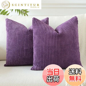 �y���������zOtostar �N�b�V�����J�o�[ xcm �k�� 2���Z�b�g �R�[���e�� �X�g���C�v ������� ���� ���_�� �t�@�X�i�[ �C���e���A �\�t�@�[�p�N�b�V�����J�o�[ �F�F�i�X���A�T�C�Y�F50cmx50cm(2 