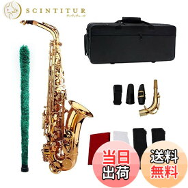 【送料無料】Btuty Saxophone Sax Eb Alto E フラットブラス彫刻パターン 表面プラスチックマウスピース 手袋付き クリーニングクロス ブラシストラップ 色：ゴールド