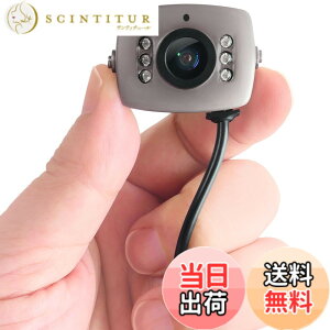 �y���������z�A�i���O �M�� 30����f ���^�J���� �h�ƃJ���� �����^ ���^ �}�C�N ���� �B�e �Ď��J���� 3.6mm �L�p �s�� LED �ԊO�� �Î� ����