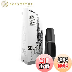 �y���������zD'Addario WoodWinds �_�_���I �}�E�X�s�[�X �A���g�T�b�N�X�p SELECT JAZZ MJS-DM �y�������K�i�z �T�C�Y�FTip Opening:1.98mm