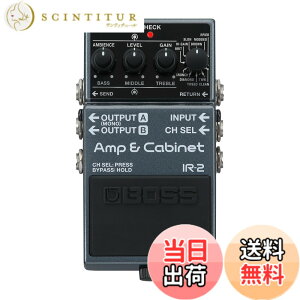 �y���������zBOSS/IR-2 Amp & Cabinet �A���v�V�~�����[�^�[ �L���r�l�b�gIR���[�_�[ �{�X IR2 �F�F�u���b�N///�z���C�g