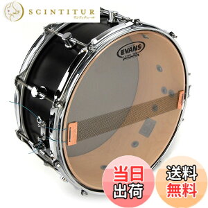 �y���������zEVANS �G���@���X �h�����w�b�h �X�l�A�T�C�h200 / Snare Side 200 (2mil) �y�������K�i�z �T�C�Y�F10