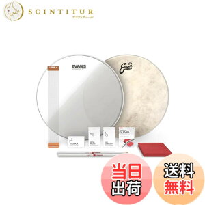 �y���������zEVANS �G���@���X �X�l�A�`���[���A�b�v�L�b�g