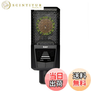 �y���������zLEWITT LCT 440 �V���[�Y