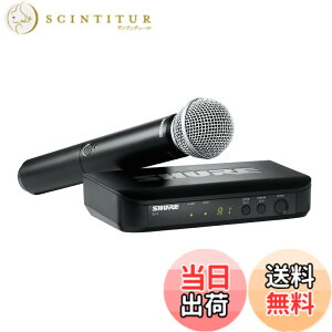 �y���������zSHURE �V���A SM58 �F�F�m�[�}���A�T�C�Y�F�V���O���V�X�e��