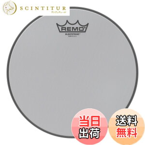 �y���������zREMO ���� �h�����w�b�h �T�C�����g�X�g���[�N 10�C���` SN-0010
