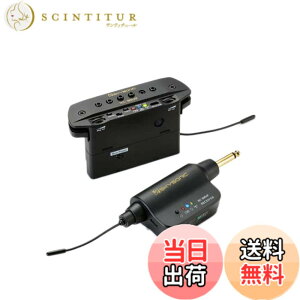 �y���������z�y���K�i�zSKYSONIC �X�J�C�\�j�b�N WL-800JP �A�R�[�X�e�B�b�N�M�^�[�p���C�����X�E�s�b�N�A�b�v
