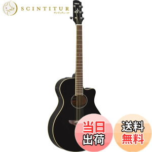 �y���������z���}�n �G���A�R�M�^�[ APX600 �F�F�u���b�N(BL)