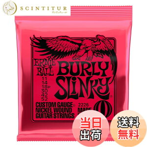 �y���������z�y���K�i�z ERNIE BALL �G���L�M�^�[�� SLINKY �F�F�o�[���[(11-52)�A�T�C�Y�F�o�[���[(11-52)
