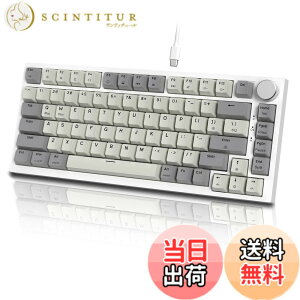 �y���������zMAMBASNAKExATTACK SHARK K85 ���s�b�h�g���K�[ ���� �L�� 75% RGBPBT �J���[ �}�b�`���O �Q�[�� ���J�j�J�� �L�[�{�[�h �[ ���C �Q�[�~���O�L�[�{�[�h �Q�[�~���O�L�[�{�[�h �X�g���[�N��