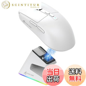 �y���������zMAMBASNAKExATTACK SHARK X6 ���y�ʃQ�[�~���O�}�E�X 49g PAW3395�Z���T�[ ���C�����X �}�E�X 3���[�h�ڑ� 2.4Ghz/Bluetooth/Type-C 6���x��DPI�ؑ� 26000DPI 200���ԘA���g�p�\ �}�O�l�b�gRGB�[�d�X