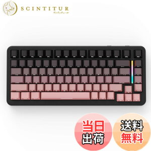 �y���������zMAMBASNAKExATTACK SHARK M86 �Q�[�~���b�O�L�[�{�[�h ���C�����X ���J�j�J���L�[�{�[�h 75�� �p��z�� RGB�o�b�N���C�g �J�X�^�}�C�Y�\ �K�X�P�b�g�\�� �����Ō��� 3���[�h�ڑ��iBlueto