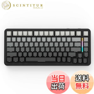 �y���������zMAMBASNAKExATTACK SHARK M86 �Q�[�~���b�O�L�[�{�[�h ���C�����X ���J�j�J���L�[�{�[�h 75�� �p��z�� RGB�o�b�N���C�g �J�X�^�}�C�Y�\ �K�X�P�b�g�\�� �����Ō��� 3���[�h�ڑ��iBlueto